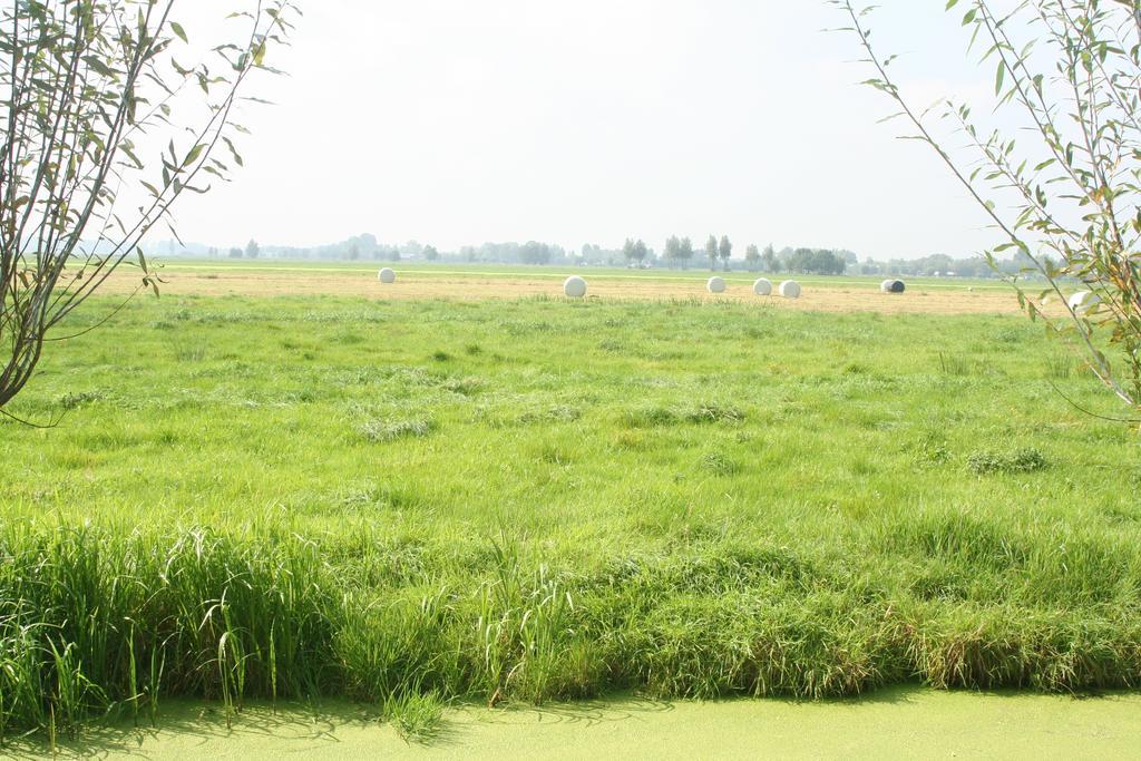 Camping De Grienduil Nieuwland  Exterior foto